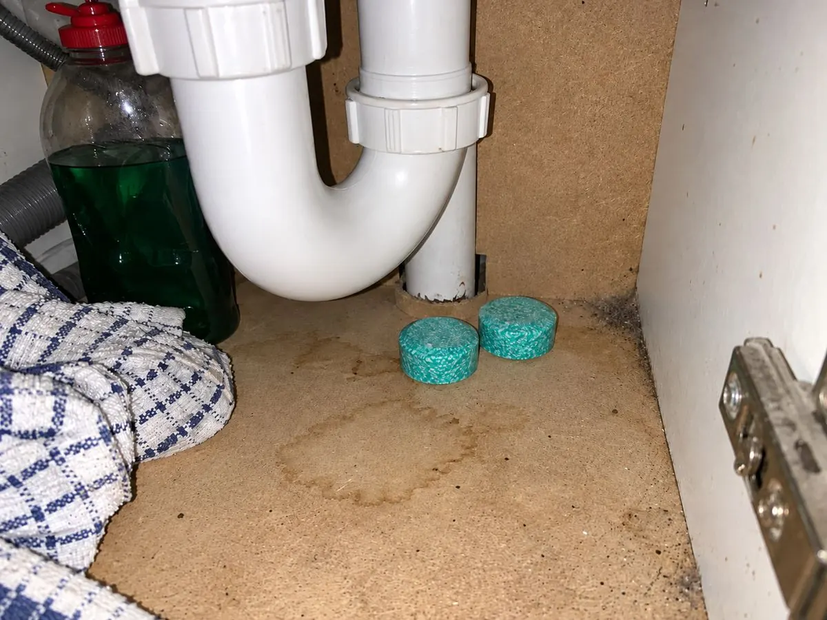 MintGuard ball placed under the sink